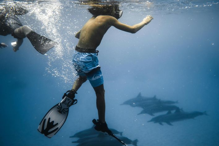 Young snorkeler exploring underwater world, surrounded by dolphins.