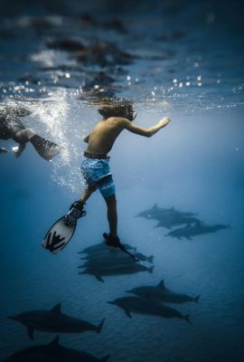 Young snorkeler exploring underwater world, surrounded by dolphins.