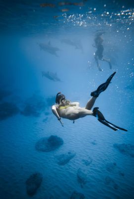 Back view of anonymous female with flippers and oxygen mask swimming in deep water with coral reef on bottom and dolphins on background