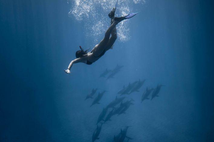 A female diver gracefully swims with dolphins in a deep ocean dive, surrounded by clear blue waters.