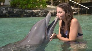 A young woman in a bikini lovingly kisses a dolphin in a scenic outdoor setting.